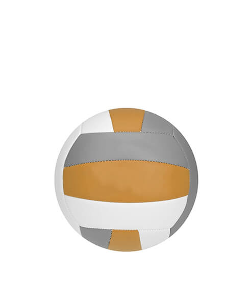 Volley-ball