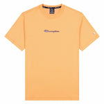 V10H6A8D812FE7DB488B4E889BD19FD46358R4479816P1